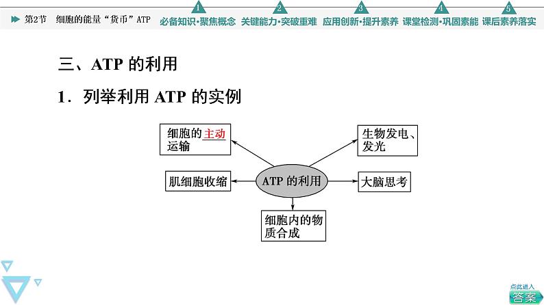 第5章 第2节　细胞的能量“货币”ATP 课件【新教材】人教版（2019）高一生物必修一08