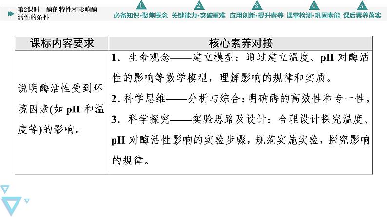 第5章 第1节 第2课时　酶的特性和影响酶活性的条件 课件【新教材】人教版（2019）高一生物必修一02