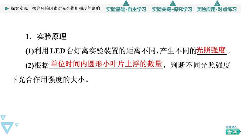 第5章 探究实践　探究环境因素对光合作用强度的影响 课件【新教材】人教版（2019）高一生物必修一03