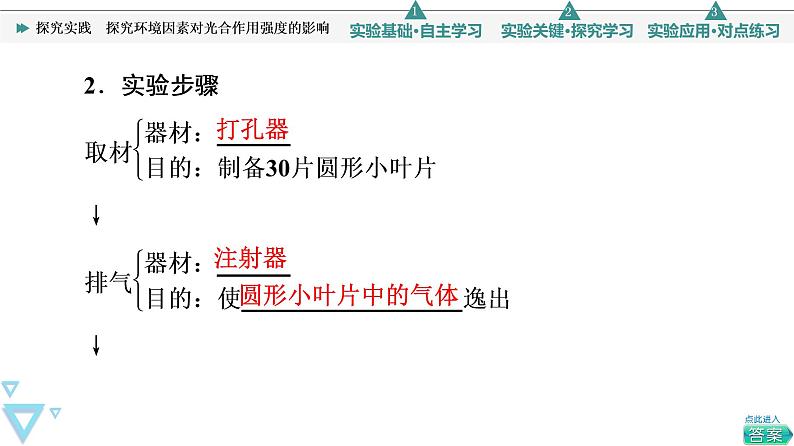 第5章 探究实践　探究环境因素对光合作用强度的影响 课件【新教材】人教版（2019）高一生物必修一04