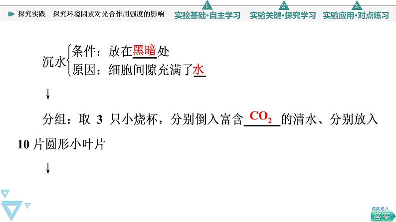 第5章 探究实践　探究环境因素对光合作用强度的影响 课件【新教材】人教版（2019）高一生物必修一05