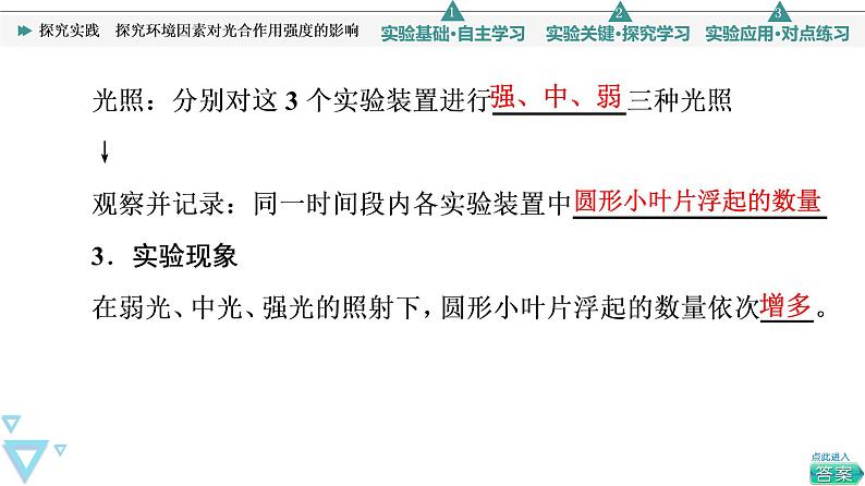 第5章 探究实践　探究环境因素对光合作用强度的影响 课件【新教材】人教版（2019）高一生物必修一06