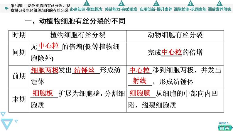 第6章 第1节 第2课时　动物细胞的有丝分裂、观察根尖分生区组织细胞的有丝分裂 课件【新教材】人教版（2019）高一生物必修一第5页