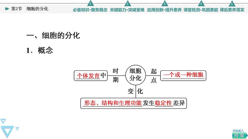 第6章 第2节　细胞的分化 课件【新教材】人教版（2019）高一生物必修一04