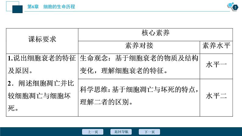 第6章第3节　细胞的衰老和死亡--（新教材）2021年人教版（2019）高中生物必修1课件03