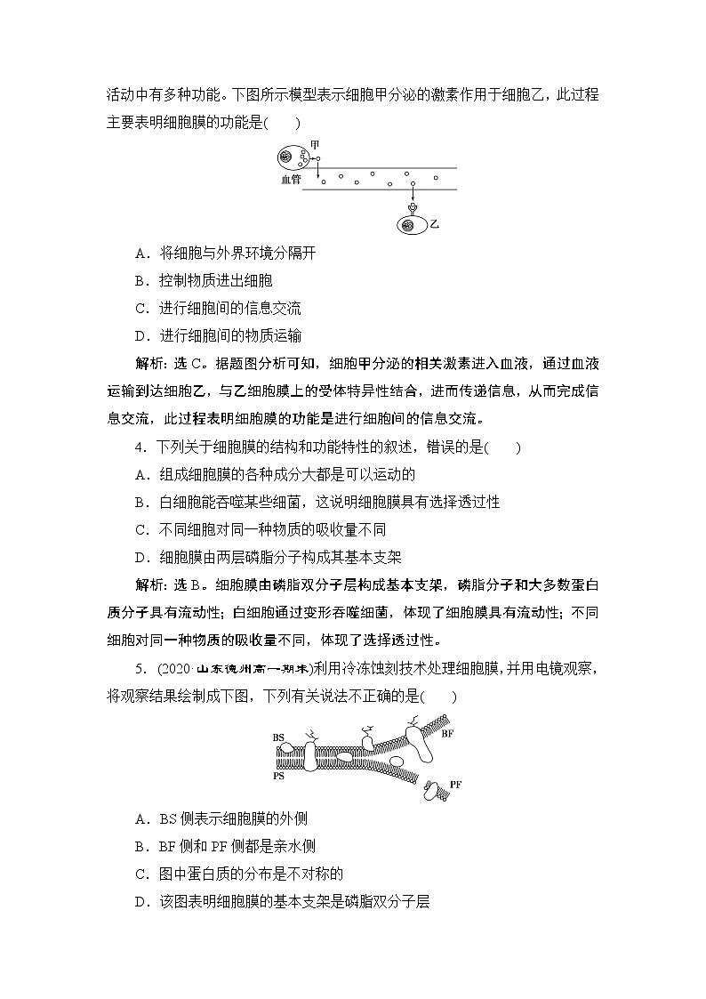 第3章第1节　细胞膜的结构和功能--（新教材）2021年人教版（2019）高中生物必修1同步练习02
