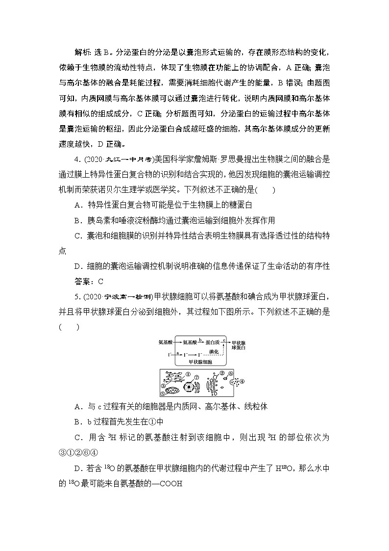 第3章第2节　第2课时　细胞器之间的协调配合--（新教材）2021年人教版（2019）高中生物必修1同步练习02