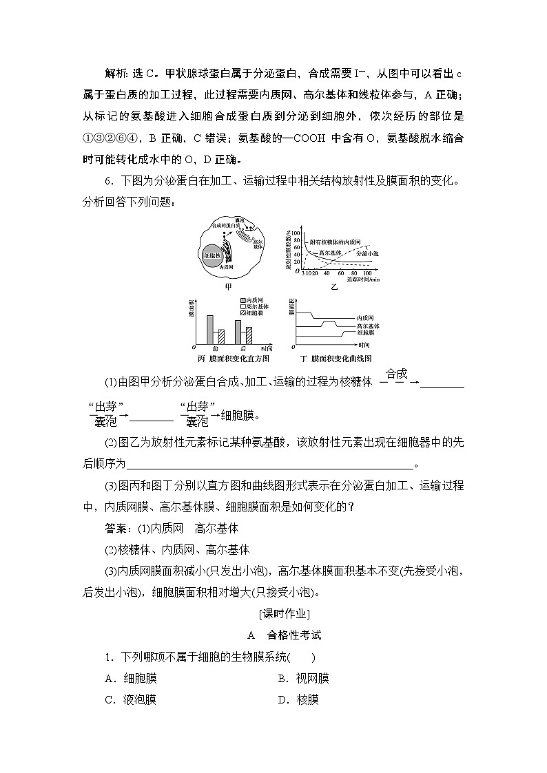 第3章第2节　第2课时　细胞器之间的协调配合--（新教材）2021年人教版（2019）高中生物必修1同步练习03