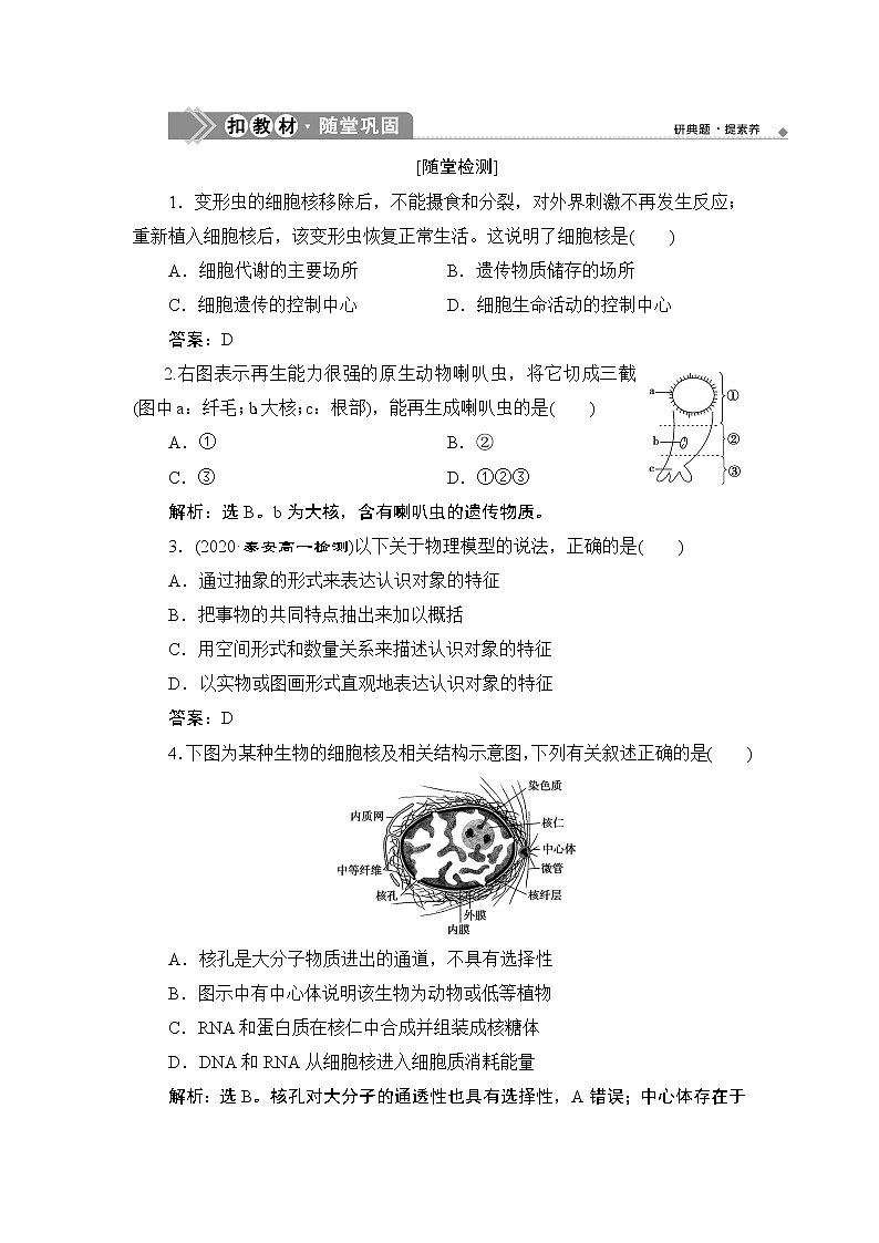 第3章第3节　细胞核的结构和功能--（新教材）2021年人教版（2019）高中生物必修1同步练习第1页