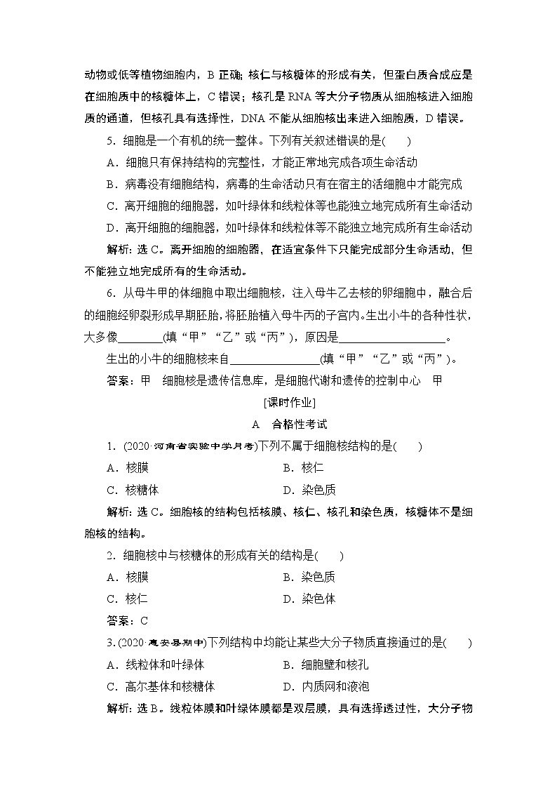 第3章第3节　细胞核的结构和功能--（新教材）2021年人教版（2019）高中生物必修1同步练习第2页