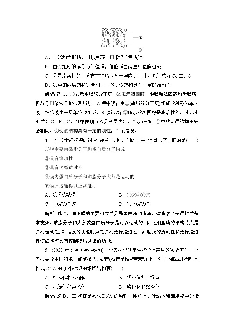 第3章章末综合检测--（新教材）2021年人教版（2019）高中生物必修1同步练习02