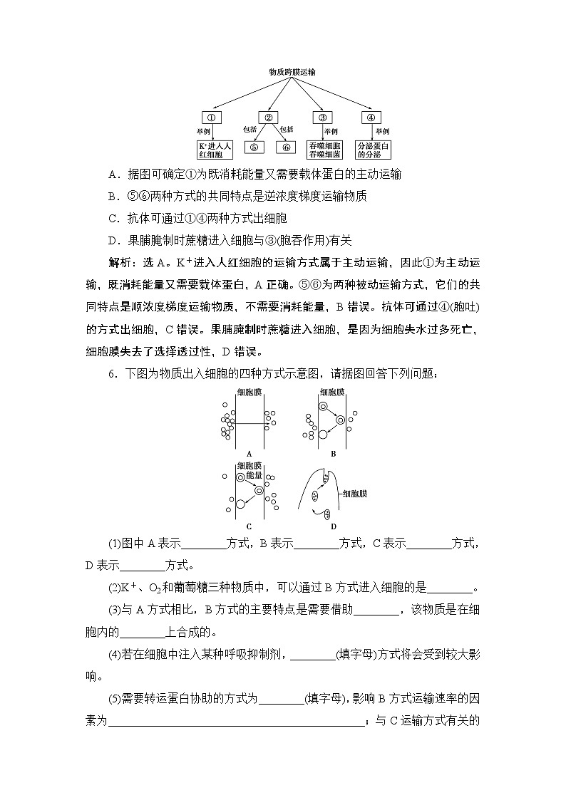 第4章第2节　主动运输与胞吞、胞吐--（新教材）2021年人教版（2019）高中生物必修1同步练习03