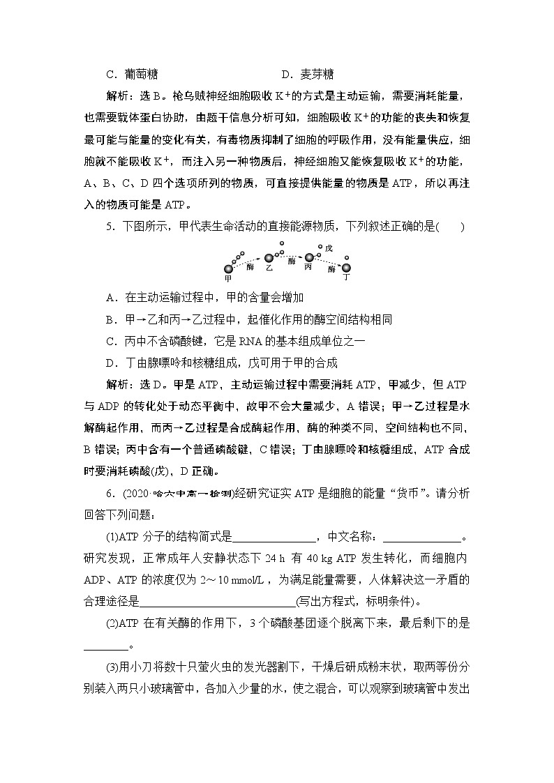 第5章第2节　细胞的能量“货币”ATP--（新教材）2021年人教版（2019）高中生物必修1同步练习第2页