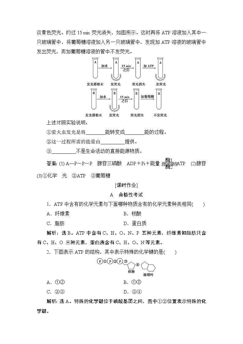 第5章第2节　细胞的能量“货币”ATP--（新教材）2021年人教版（2019）高中生物必修1同步练习第3页