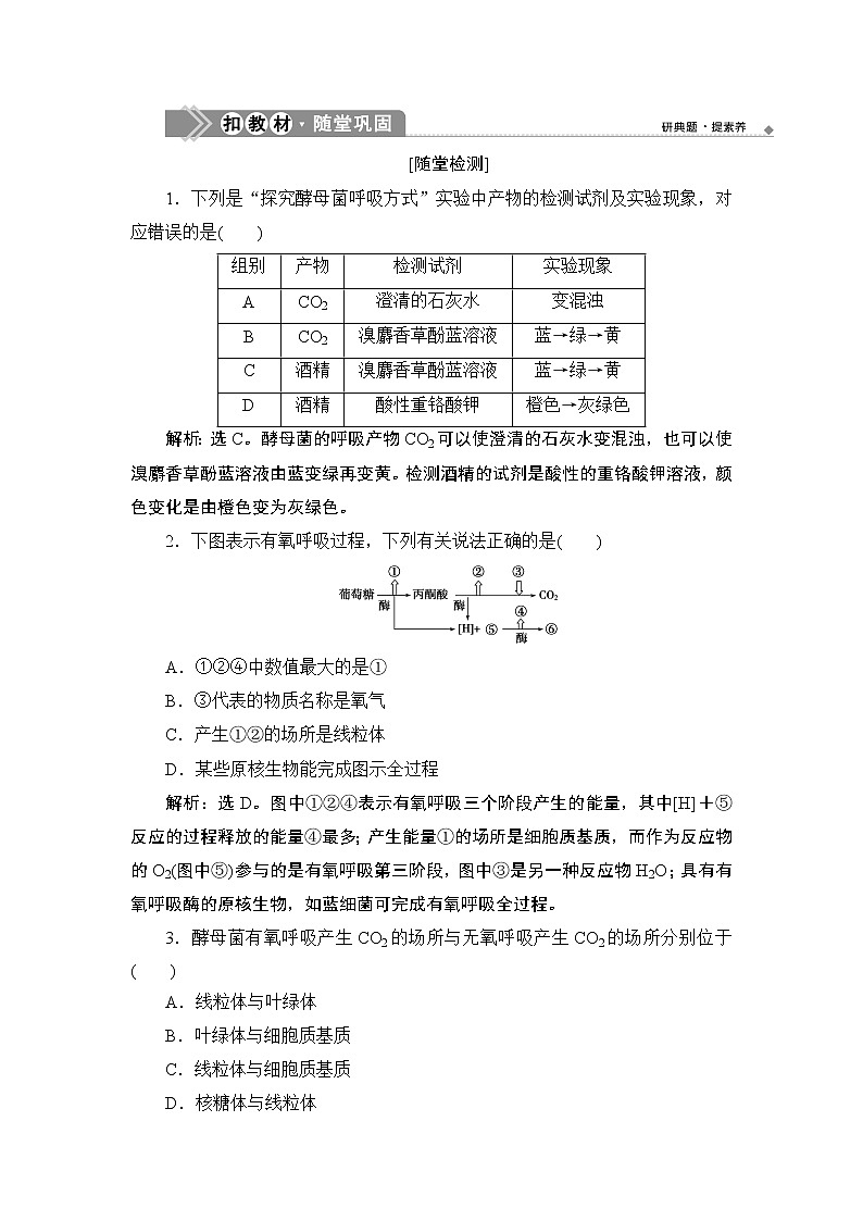 第5章第3节　细胞呼吸的原理和应用--（新教材）2021年人教版（2019）高中生物必修1同步练习第1页