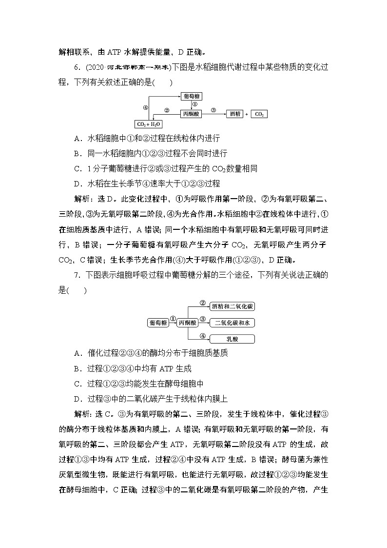 第5章阶段性检测(二)--（新教材）2021年人教版（2019）高中生物必修1同步学案03