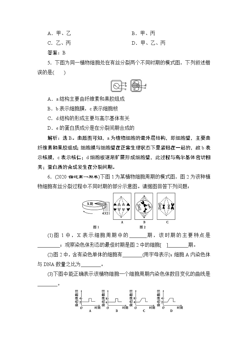 第6章第1节　第1课时　细胞周期和高等植物细胞的有丝分裂--（新教材）2021年人教版（2019）高中生物必修1同步练习02