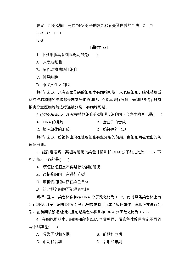 第6章第1节　第1课时　细胞周期和高等植物细胞的有丝分裂--（新教材）2021年人教版（2019）高中生物必修1同步练习03