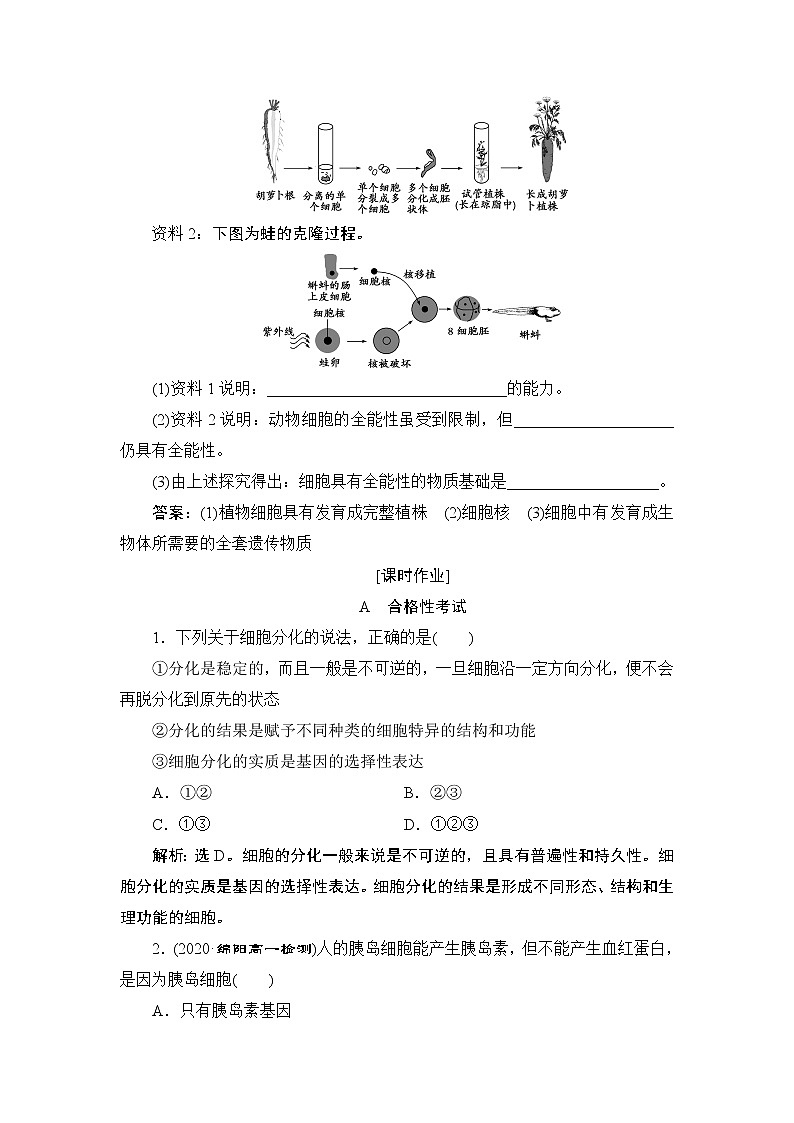 第6章第2节　细胞的分化--（新教材）2021年人教版（2019）高中生物必修1同步练习第3页