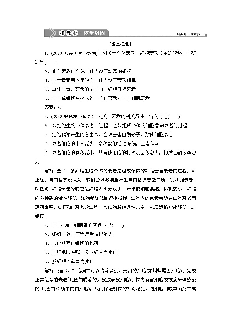 第6章第3节　细胞的衰老和死亡--（新教材）2021年人教版（2019）高中生物必修1同步练习第1页
