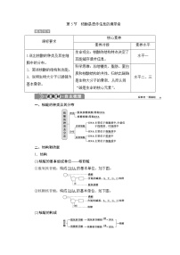 高中生物第5节 核酸是遗传信息的携带者学案设计