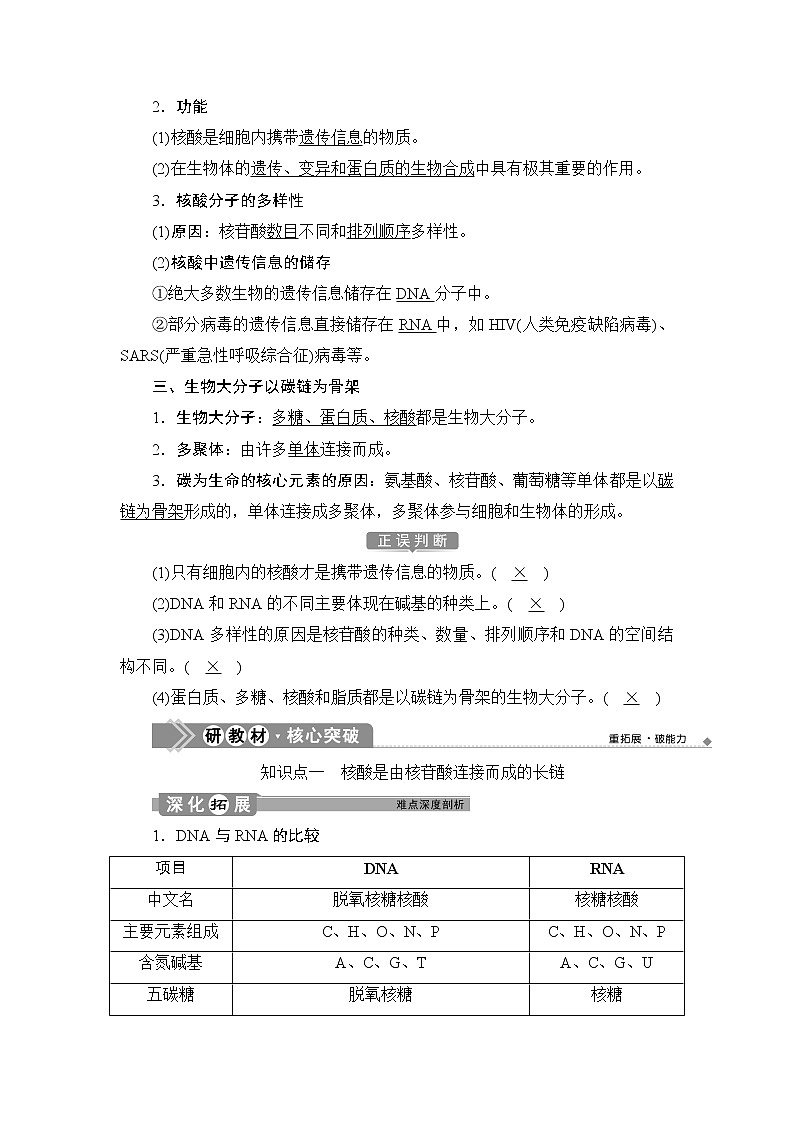 第2章第5节　核酸是遗传信息的携带者--（新教材）2021年人教版（2019）高中生物必修1同步学案02
