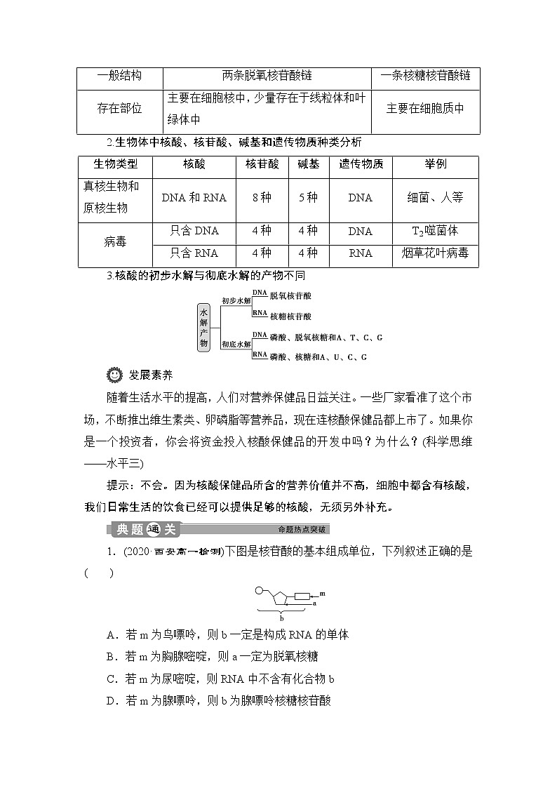 第2章第5节　核酸是遗传信息的携带者--（新教材）2021年人教版（2019）高中生物必修1同步学案03
