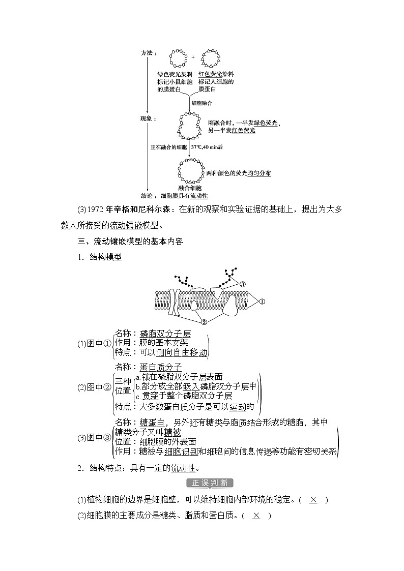 第3章第1节　细胞膜的结构和功能--（新教材）2021年人教版（2019）高中生物必修1同步学案03