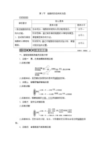 高中生物人教版 (2019)必修1《分子与细胞》第3节 细胞核的结构和功能学案及答案