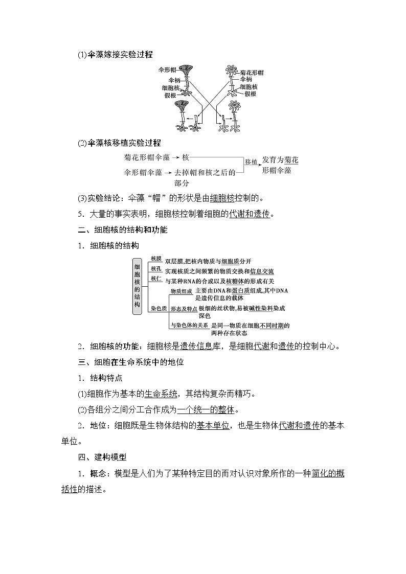 第3章第3节　细胞核的结构和功能--（新教材）2021年人教版（2019）高中生物必修1同步学案02