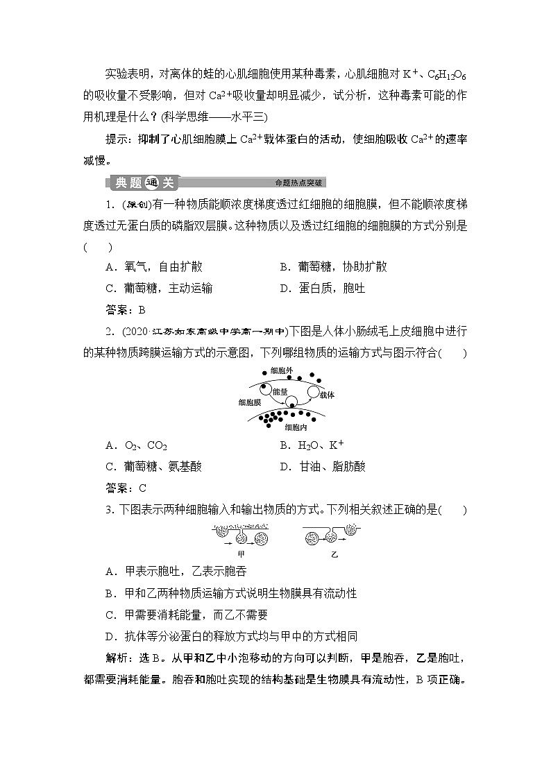 第4章第2节　主动运输与胞吞、胞吐--（新教材）2021年人教版（2019）高中生物必修1同步学案03