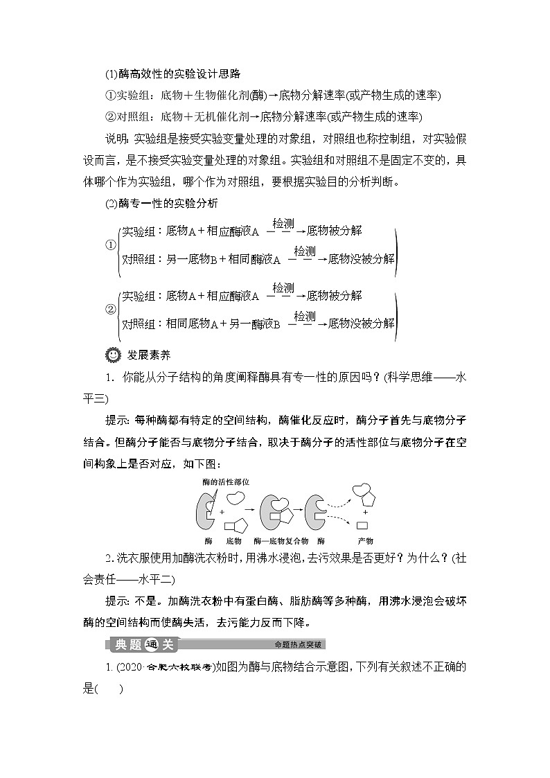 第5章第1节　二　酶的特性--（新教材）2021年人教版（2019）高中生物必修1同步学案03