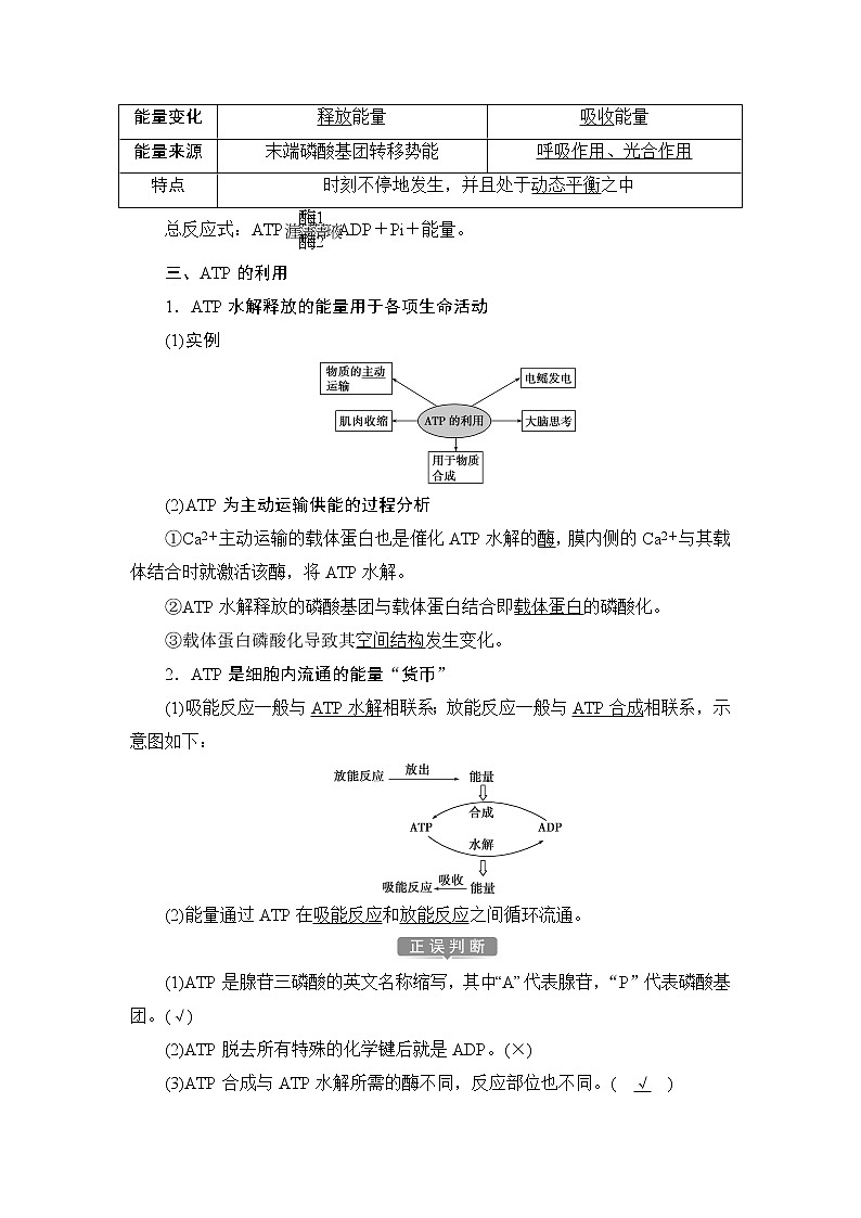 第5章第2节　细胞的能量“货币”ATP--（新教材）2021年人教版（2019）高中生物必修1同步学案02