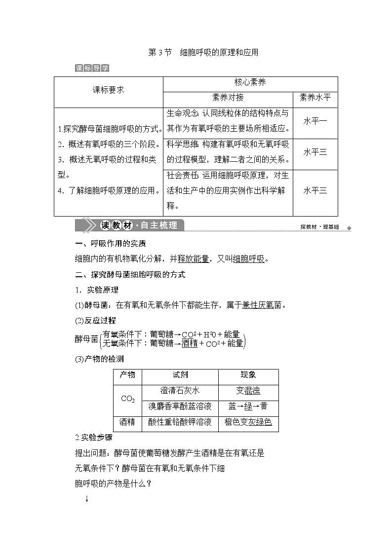 第5章第3节　细胞呼吸的原理和应用--（新教材）2021年人教版（2019）高中生物必修1同步学案01