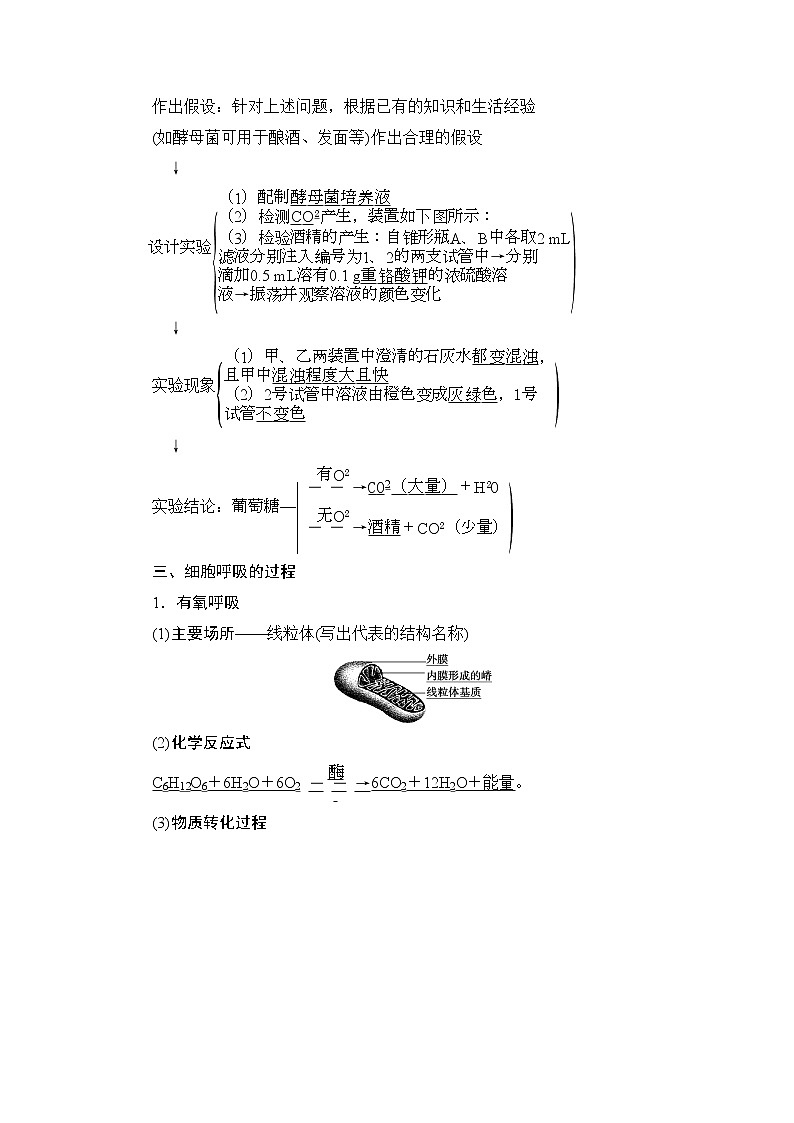 第5章第3节　细胞呼吸的原理和应用--（新教材）2021年人教版（2019）高中生物必修1同步学案02