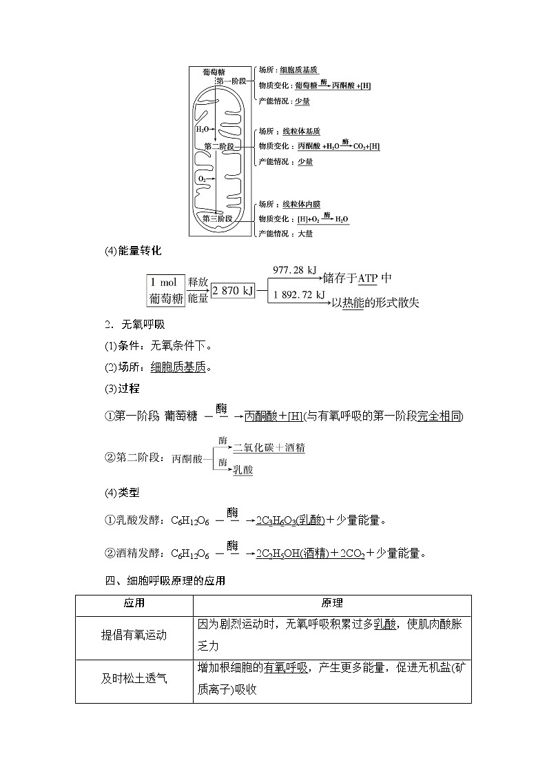 第5章第3节　细胞呼吸的原理和应用--（新教材）2021年人教版（2019）高中生物必修1同步学案03