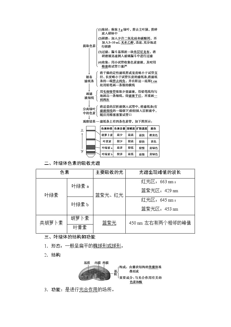 第5章第4节　一　捕获光能的色素和结构--（新教材）2021年人教版（2019）高中生物必修1同步学案02