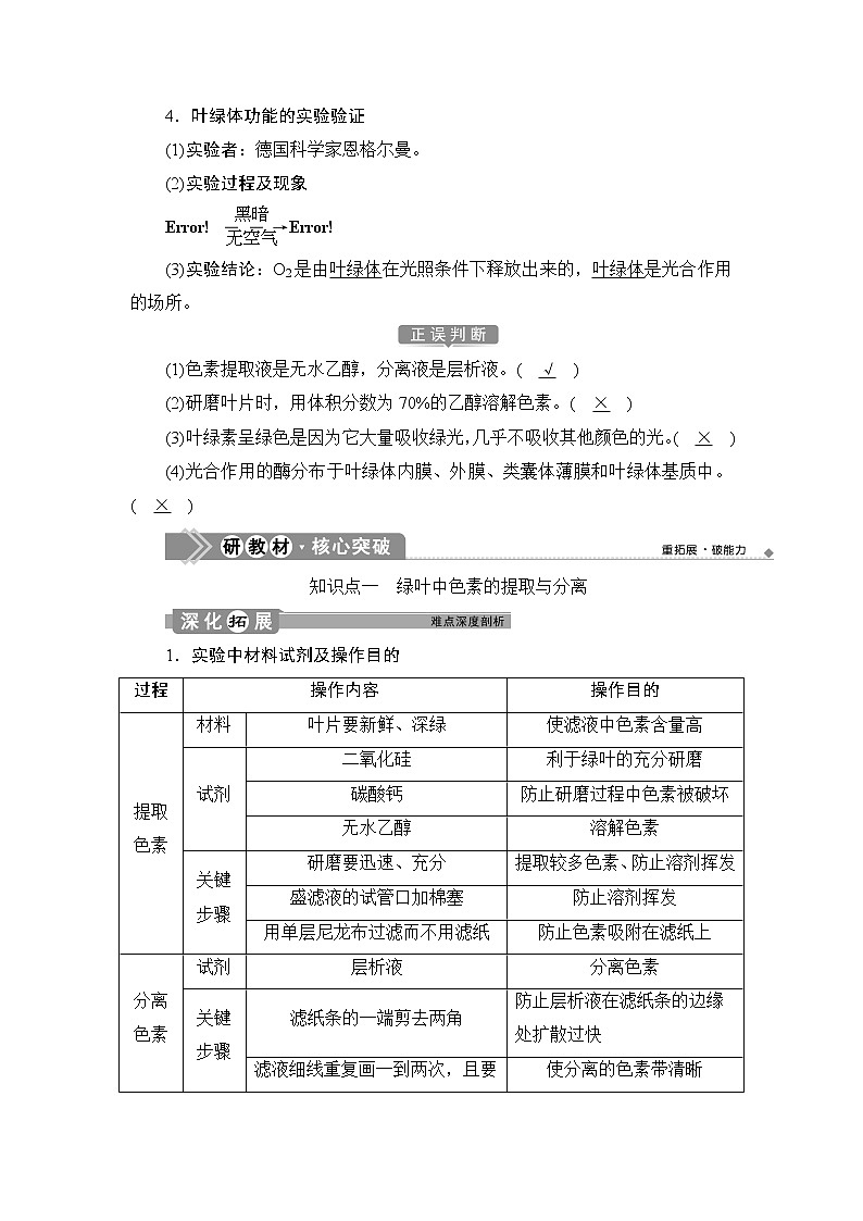 第5章第4节　一　捕获光能的色素和结构--（新教材）2021年人教版（2019）高中生物必修1同步学案03