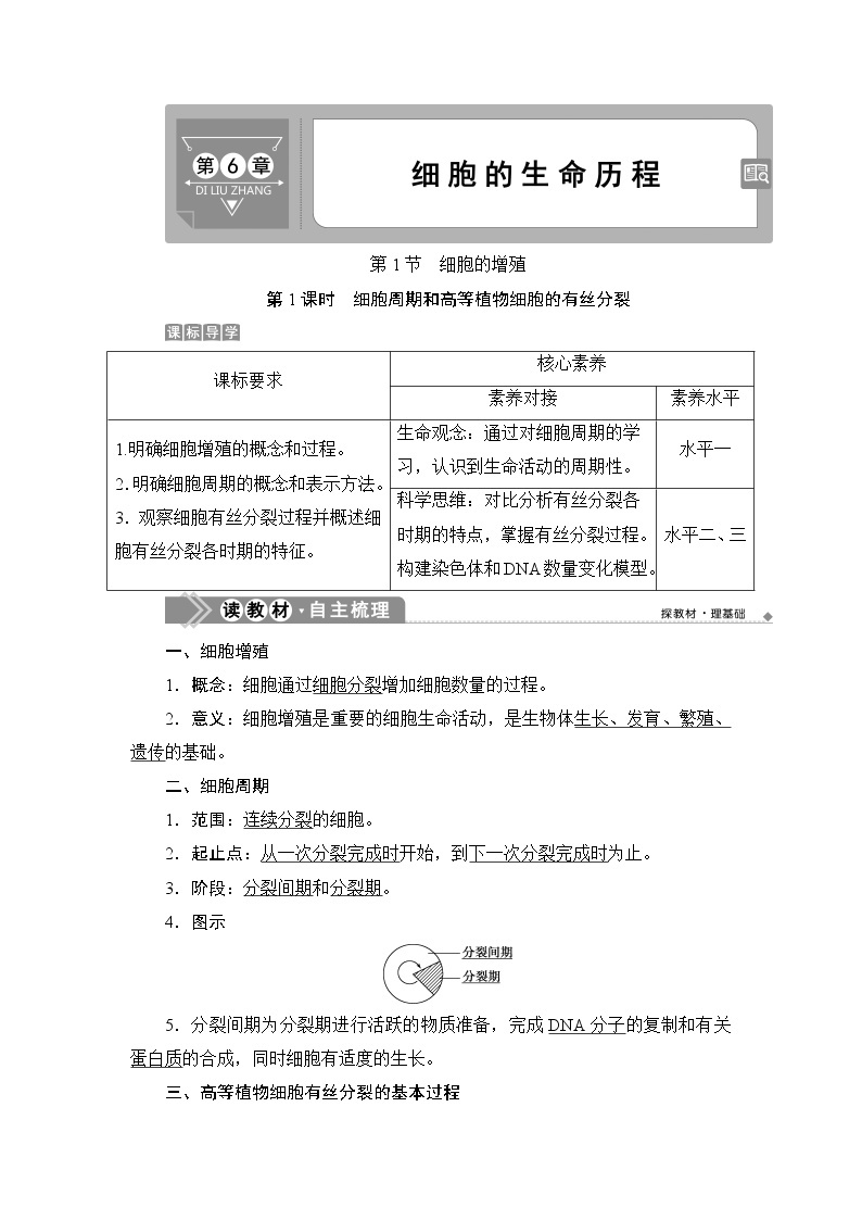 第6章第1节　第1课时　细胞周期和高等植物细胞的有丝分裂--（新教材）2021年人教版（2019）高中生物必修1同步学案01