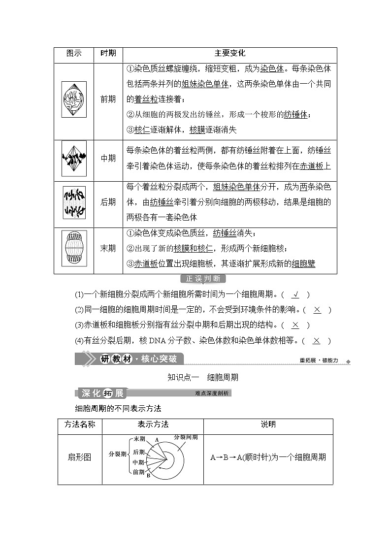 第6章第1节　第1课时　细胞周期和高等植物细胞的有丝分裂--（新教材）2021年人教版（2019）高中生物必修1同步学案02