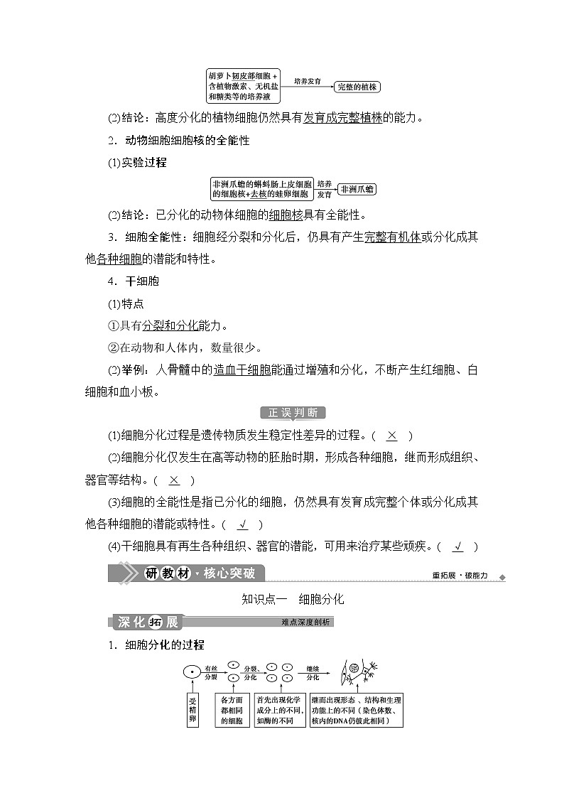 第6章第2节　细胞的分化--（新教材）2021年人教版（2019）高中生物必修1同步学案02