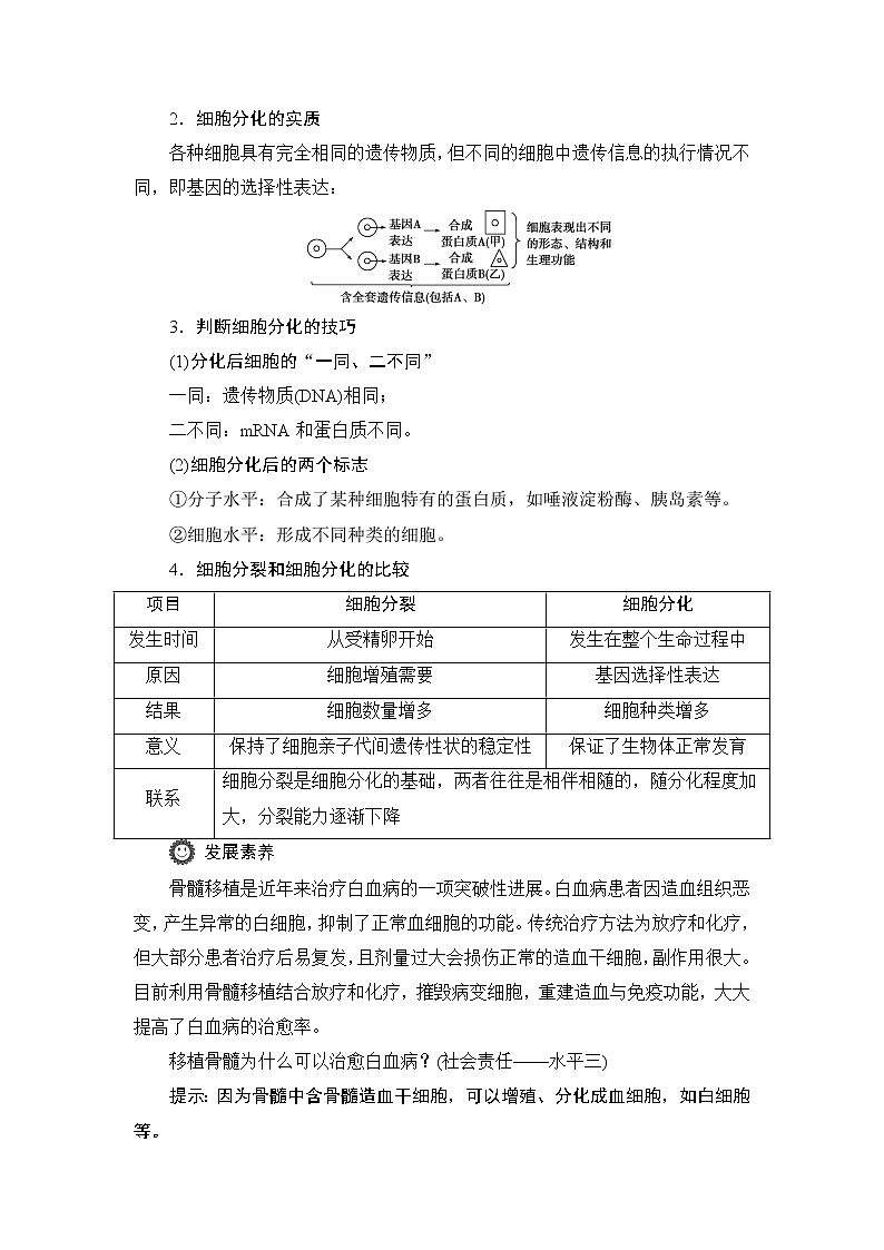 第6章第2节　细胞的分化--（新教材）2021年人教版（2019）高中生物必修1同步学案03