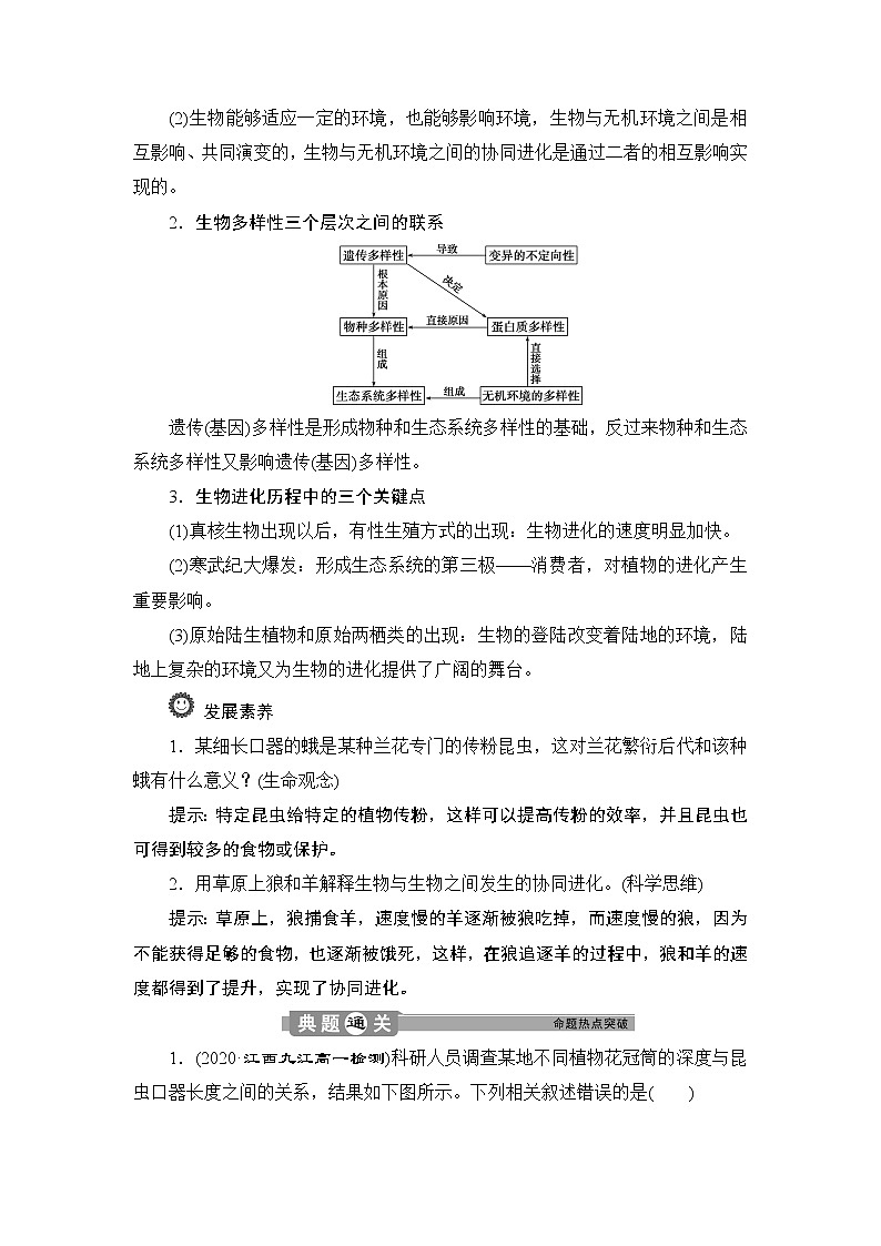 第6章第4节   协同进化与生物多样性的形成--（新教材）2021年人教版（2019）高中生物必修2同步学案+同步练习03