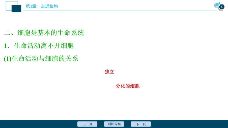 第1章第1节　细胞是生命活动的基本单位--（新教材）2021年人教版（2019）高中生物必修1课件06