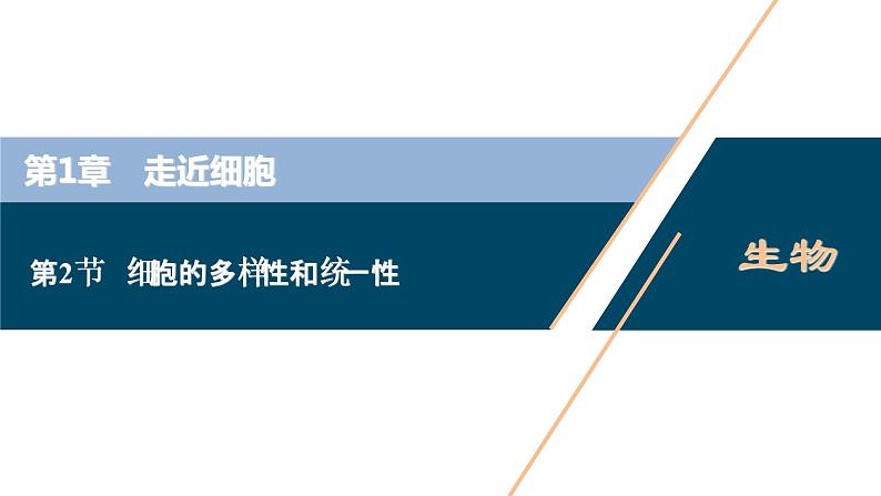 第1章第2节　细胞的多样性和统一性--（新教材）2021年人教版（2019）高中生物必修1课件01