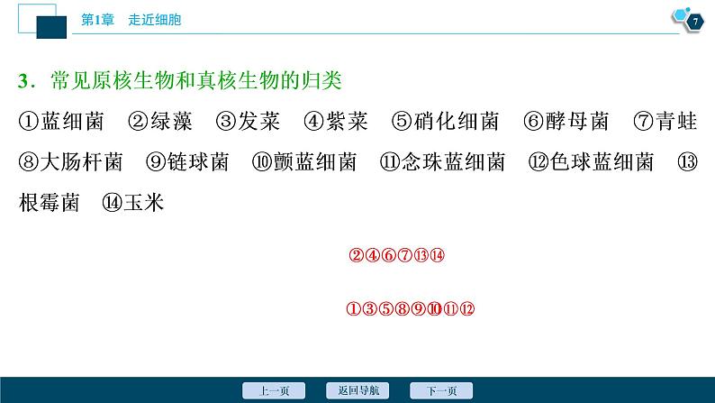 第1章第2节　细胞的多样性和统一性--（新教材）2021年人教版（2019）高中生物必修1课件08