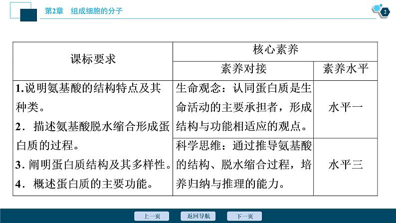 第2章第4节　蛋白质是生命活动的主要承担者--（新教材）2021年人教版（2019）高中生物必修1课件03