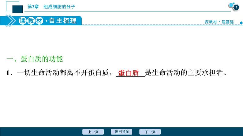 第2章第4节　蛋白质是生命活动的主要承担者--（新教材）2021年人教版（2019）高中生物必修1课件04