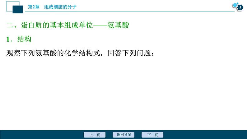 第2章第4节　蛋白质是生命活动的主要承担者--（新教材）2021年人教版（2019）高中生物必修1课件06