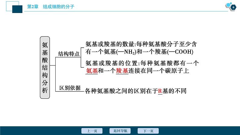 第2章第4节　蛋白质是生命活动的主要承担者--（新教材）2021年人教版（2019）高中生物必修1课件07